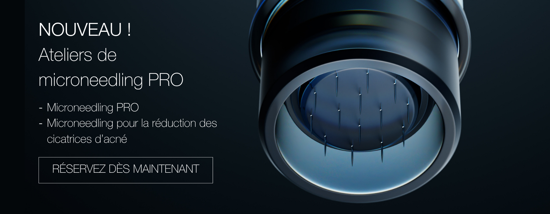 banner for booking site (FR)